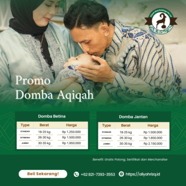 Paket Aqiqah Domba Lengkap – Variasi Berat & Gender