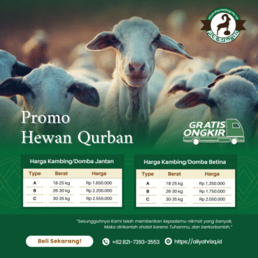 Paket Qurban Idul Adha – Domba/Kambing Pilihan 18–35 kg